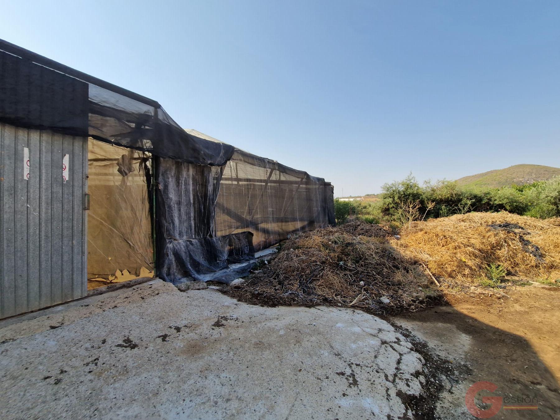 Venta de finca rústica en Molvízar Venta de finca rústica en Molvízar