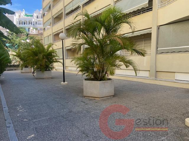 Venta de apartamento en Almuñécar Venta de apartamento en Almuñécar