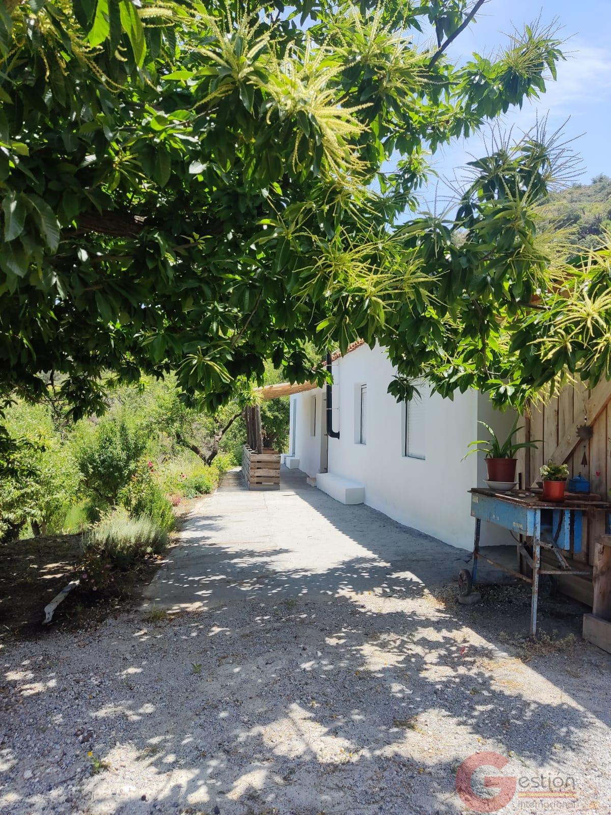 Venta de finca rústica en Guájar Fondón Venta de finca rústica en Guájar Fondón