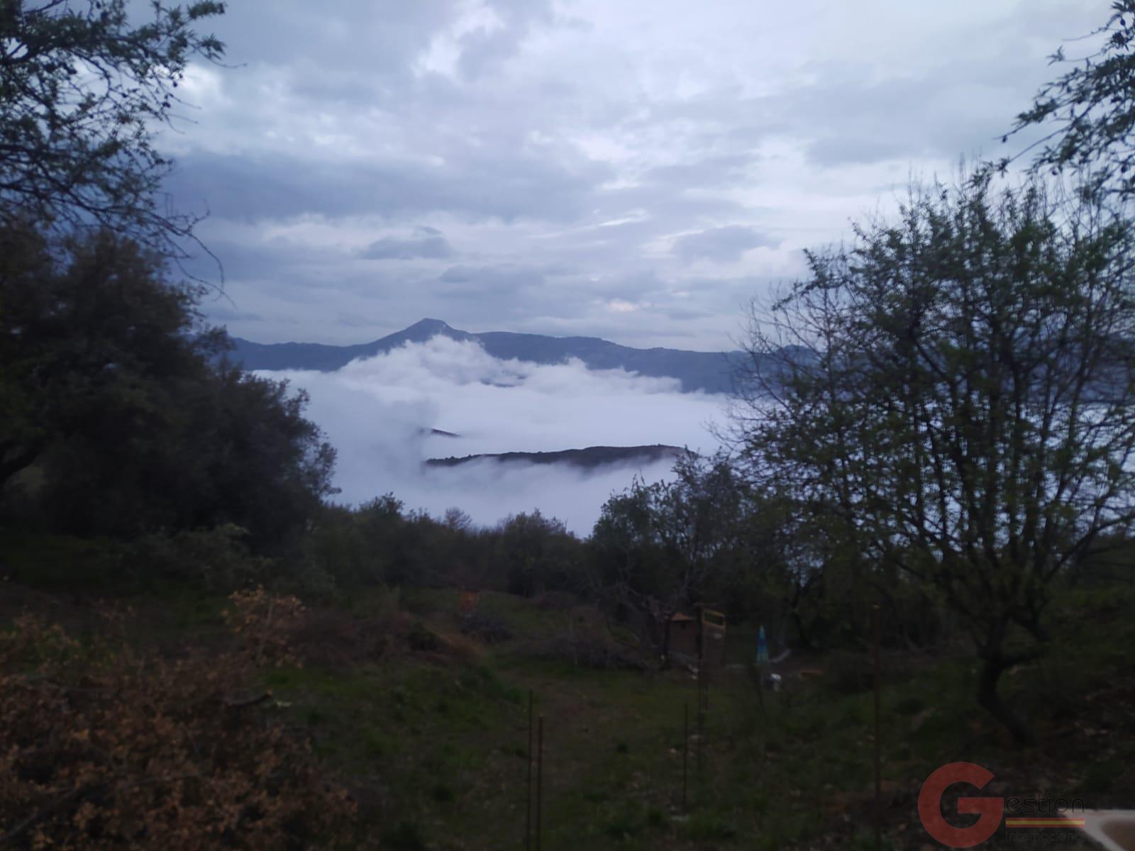 Venta de finca rústica en Guájar Fondón Venta de finca rústica en Guájar Fondón