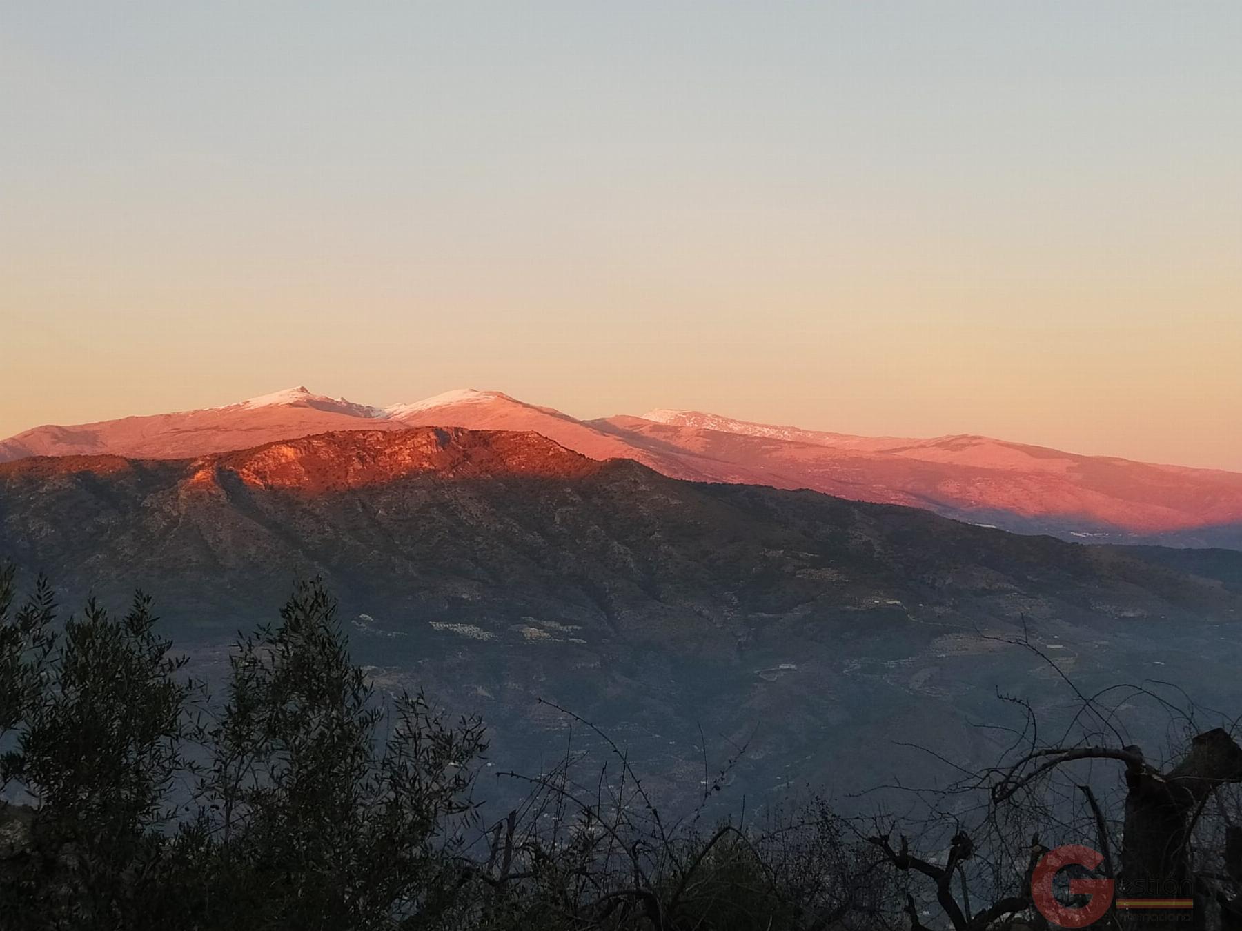 Venta de finca rústica en Guájar Fondón Venta de finca rústica en Guájar Fondón