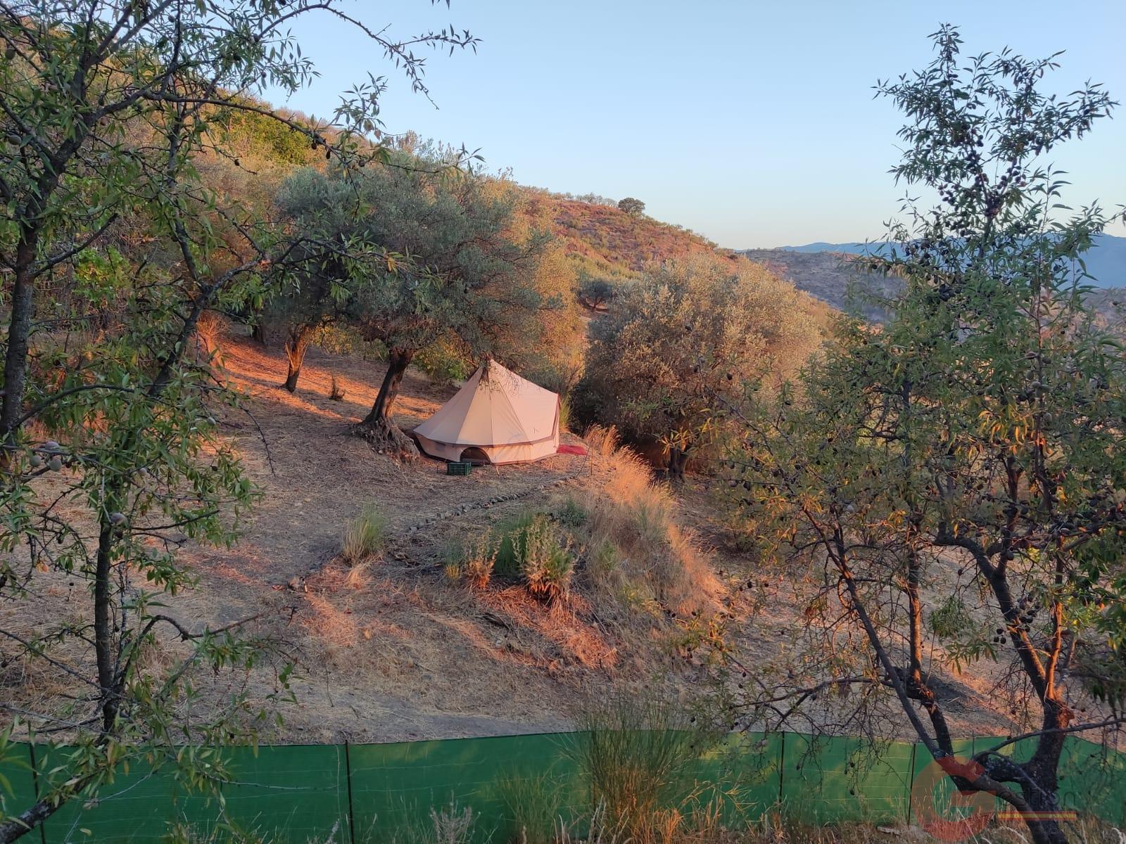 Venta de finca rústica en Guájar Fondón Venta de finca rústica en Guájar Fondón