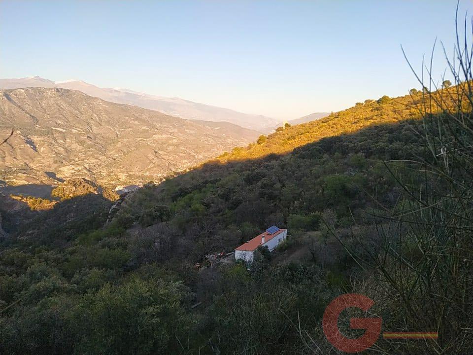 Venta de finca rústica en Guájar Fondón Venta de finca rústica en Guájar Fondón