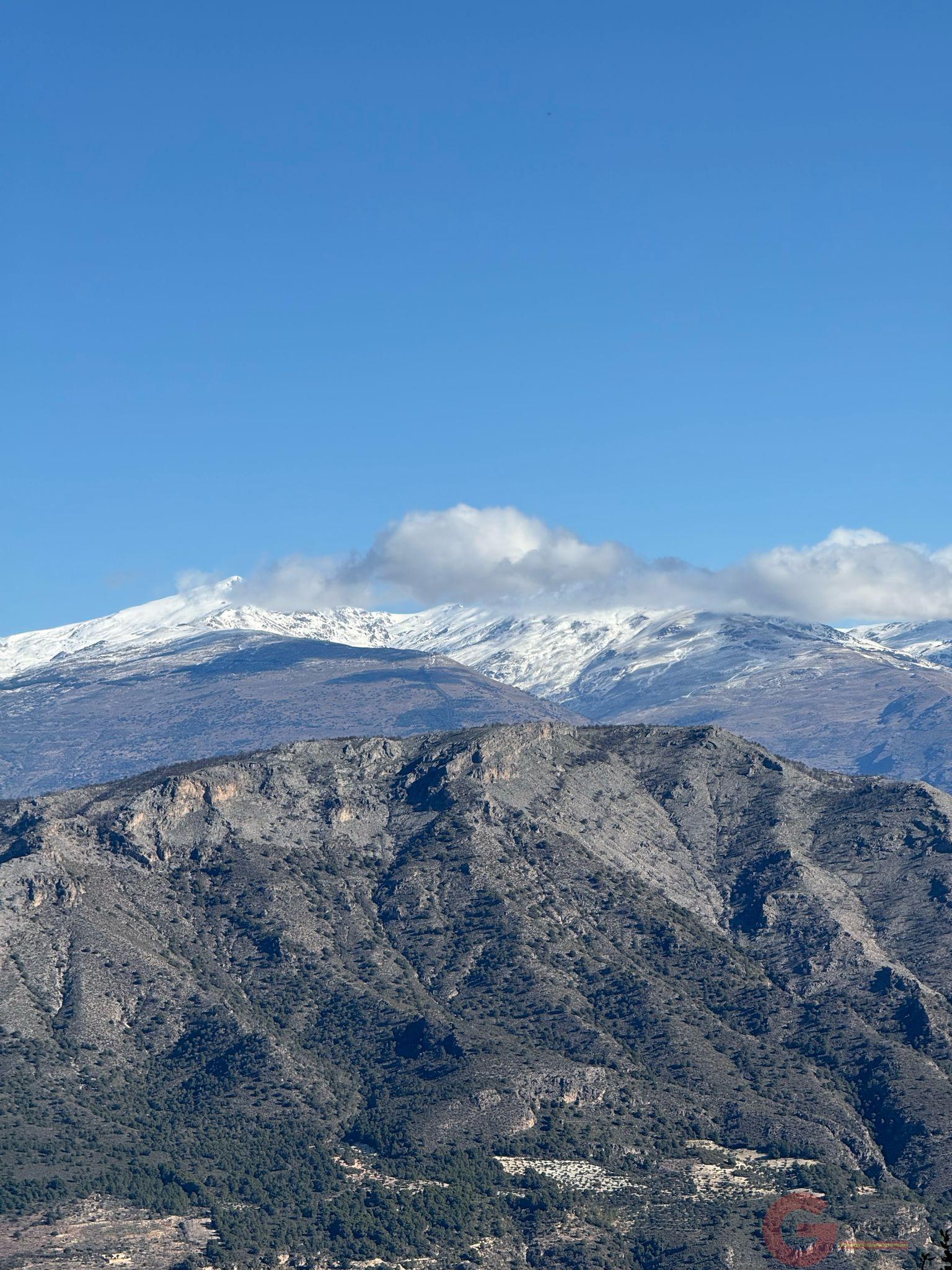 Venta de finca rústica en Guájar Fondón Venta de finca rústica en Guájar Fondón