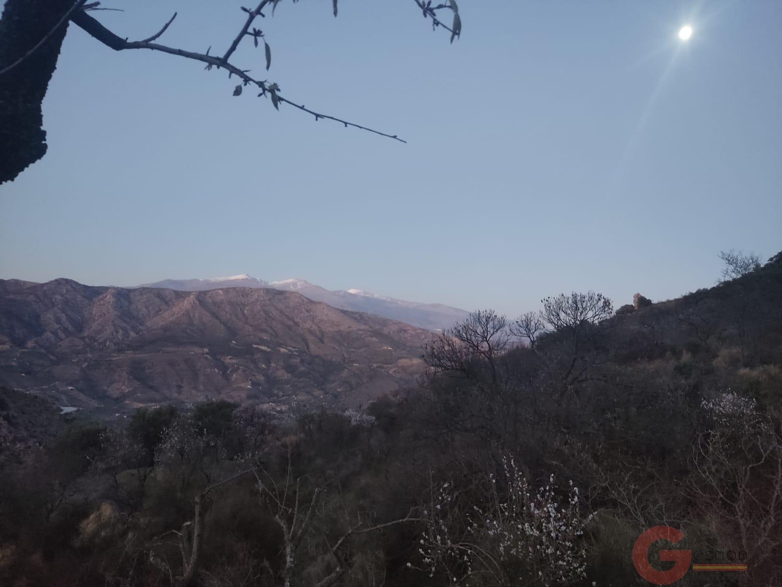 Venta de finca rústica en Guájar Fondón Venta de finca rústica en Guájar Fondón