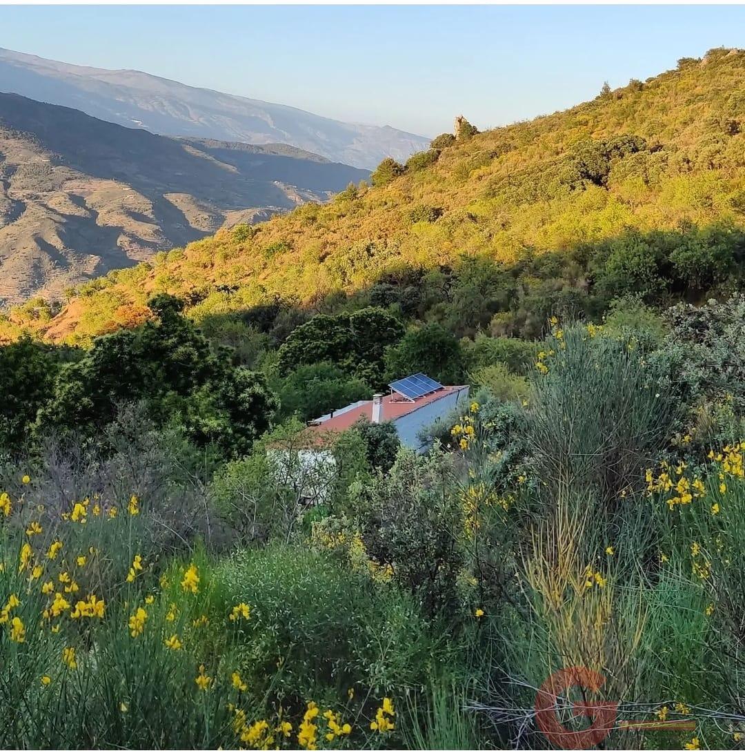 Venta de finca rústica en Guájar Fondón Venta de finca rústica en Guájar Fondón