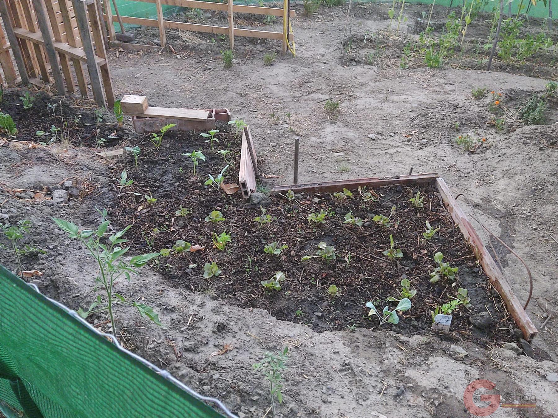 Venta de finca rústica en Guájar Fondón Venta de finca rústica en Guájar Fondón