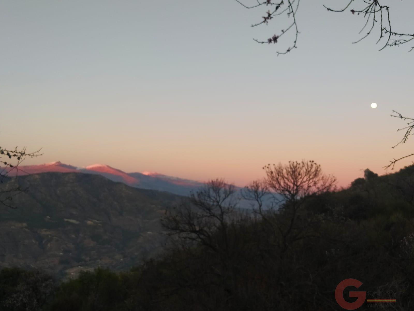 Venta de finca rústica en Guájar Fondón Venta de finca rústica en Guájar Fondón