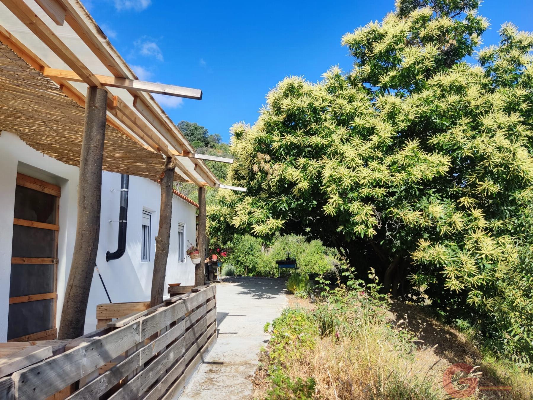 Venta de finca rústica en Guájar Fondón Venta de finca rústica en Guájar Fondón