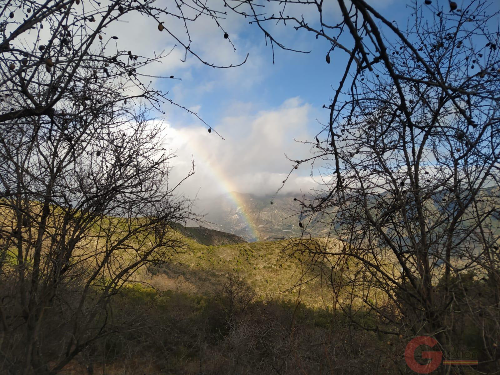 Venta de finca rústica en Guájar Fondón Venta de finca rústica en Guájar Fondón