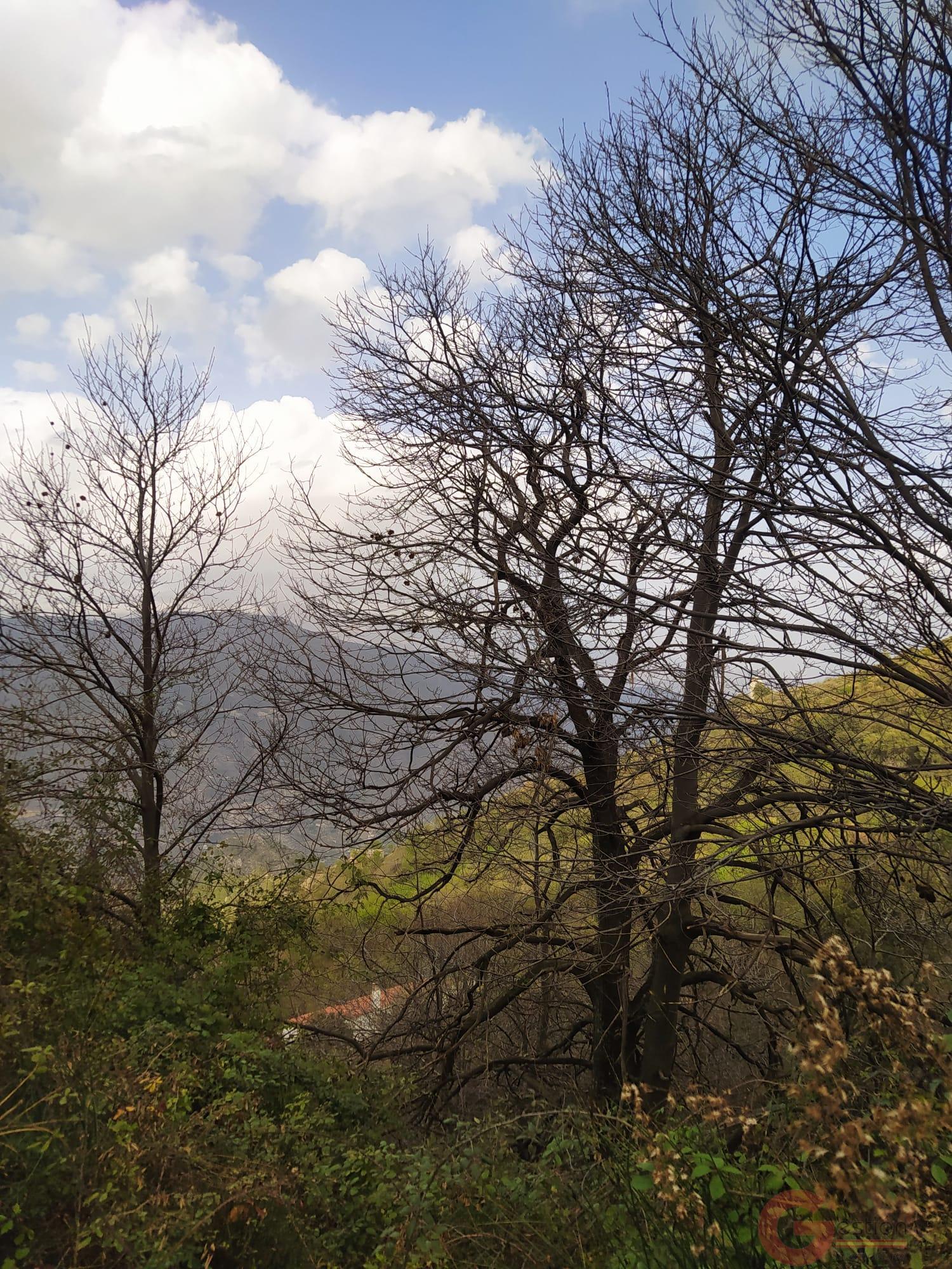 Venta de finca rústica en Guájar Fondón Venta de finca rústica en Guájar Fondón