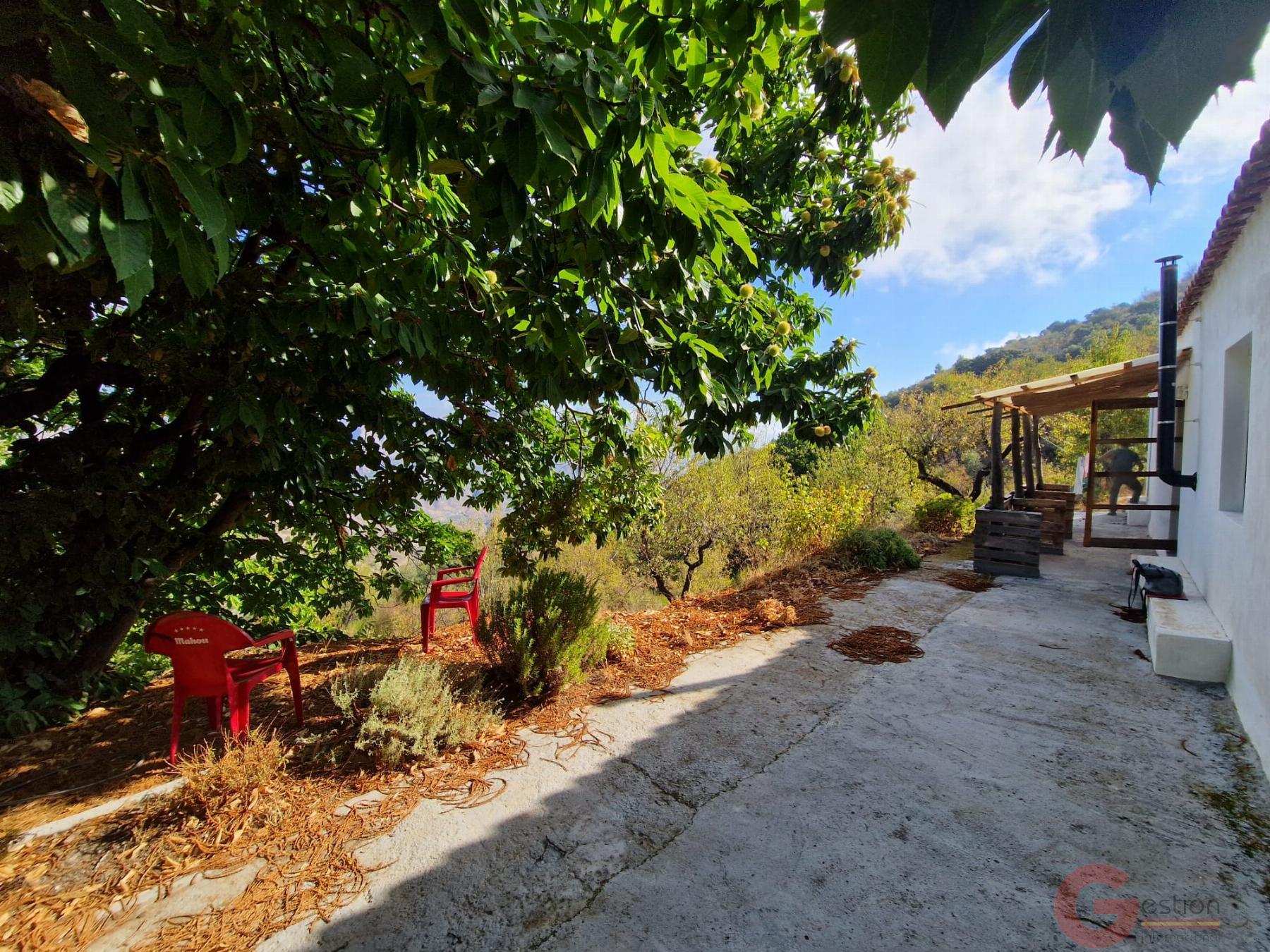 Venta de finca rústica en Guájar Fondón Venta de finca rústica en Guájar Fondón