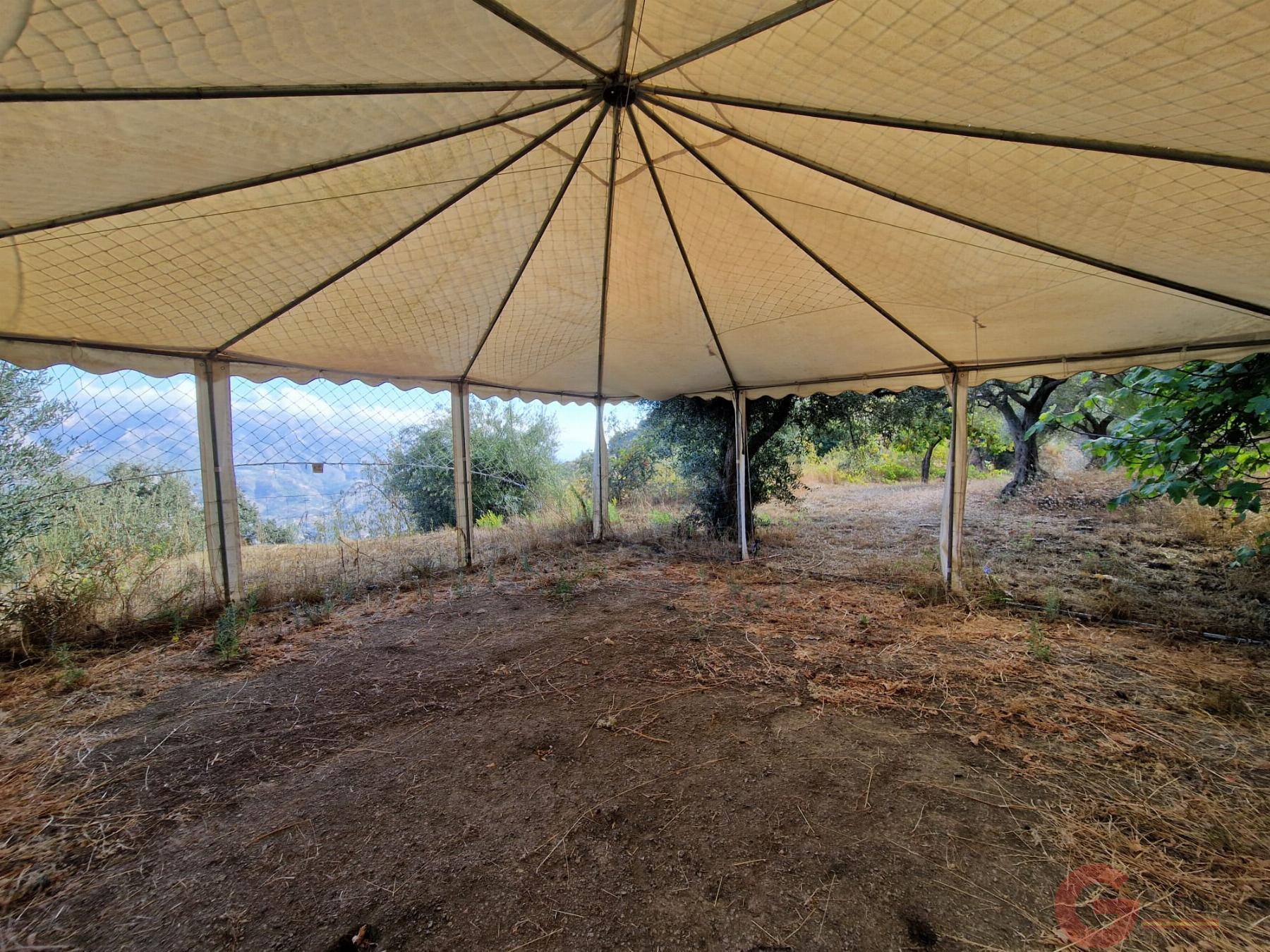 Venta de finca rústica en Guájar Fondón Venta de finca rústica en Guájar Fondón