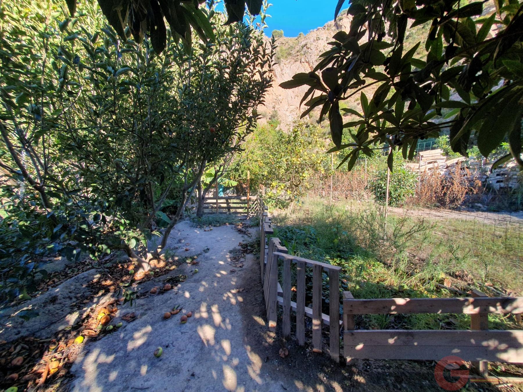 Venta de terreno en Vélez de Benaudalla Venta de terreno en Vélez de Benaudalla