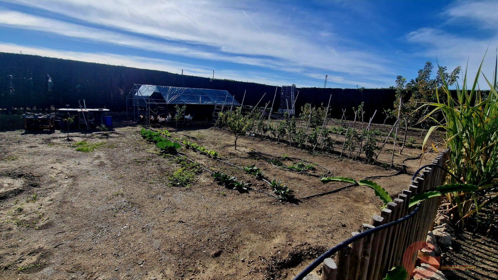 For sale of villa in Vélez-Málaga Municipio