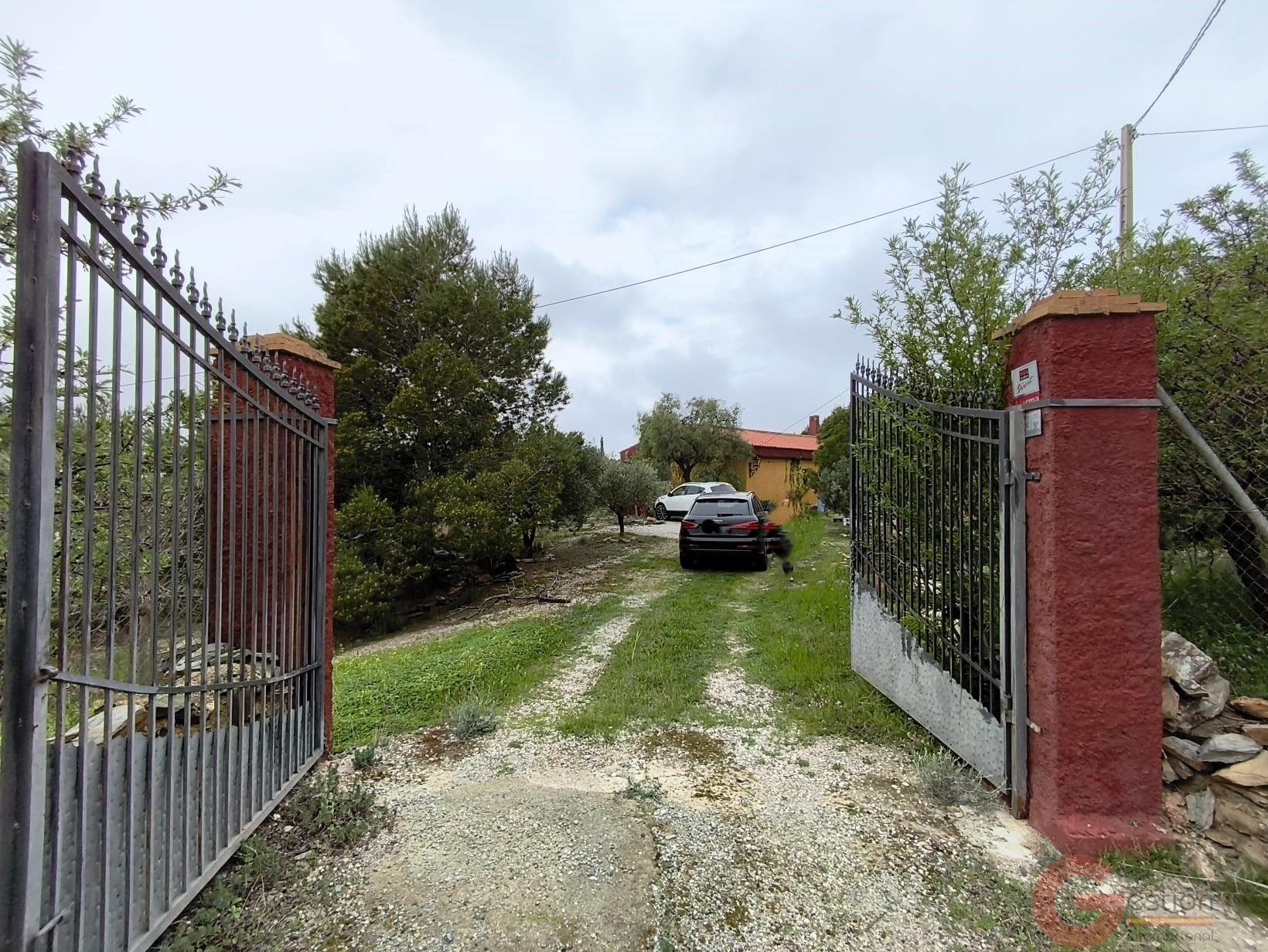 Venta de finca rústica en Vélez de Benaudalla