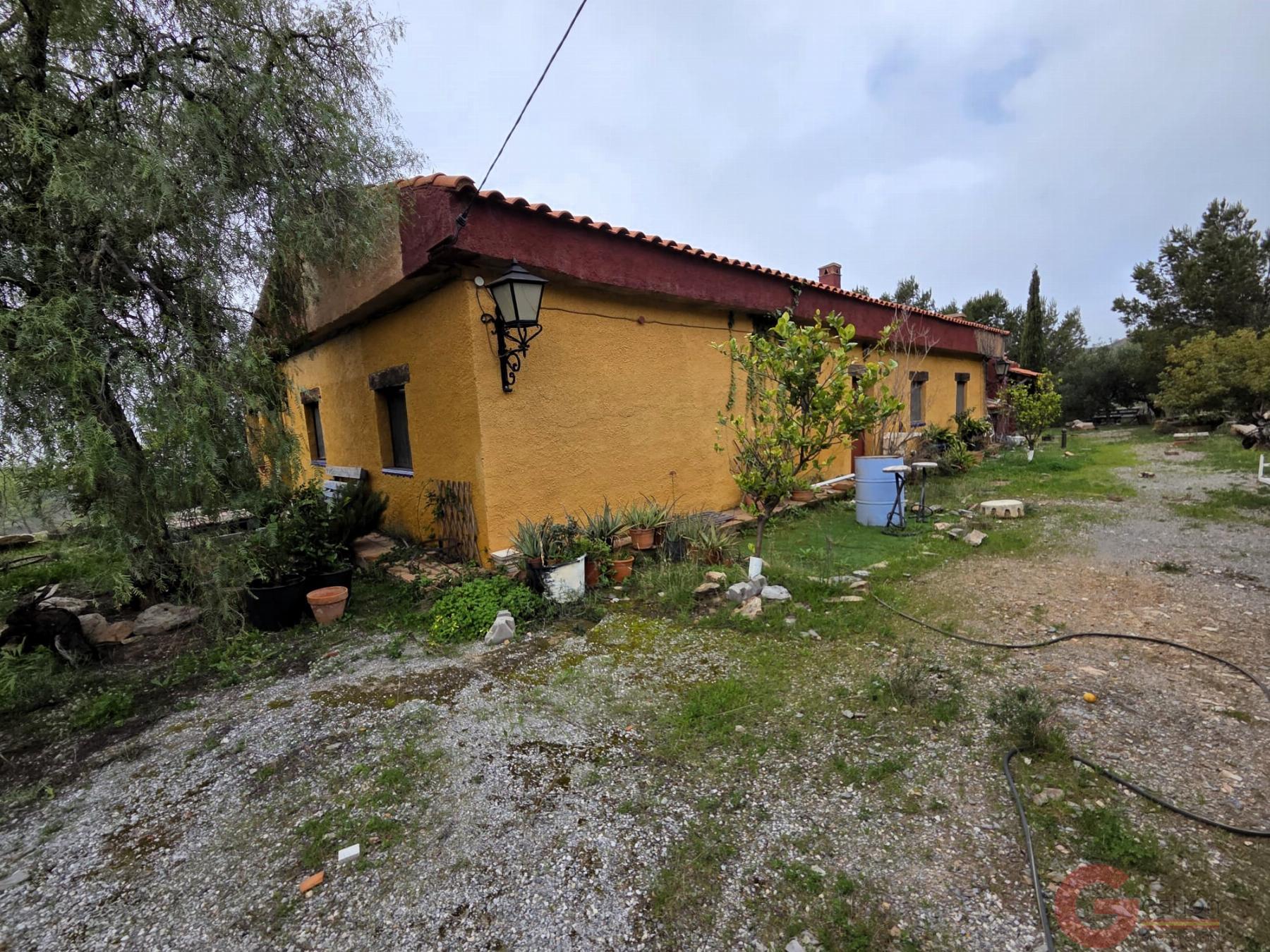 Venta de finca rústica en Vélez de Benaudalla