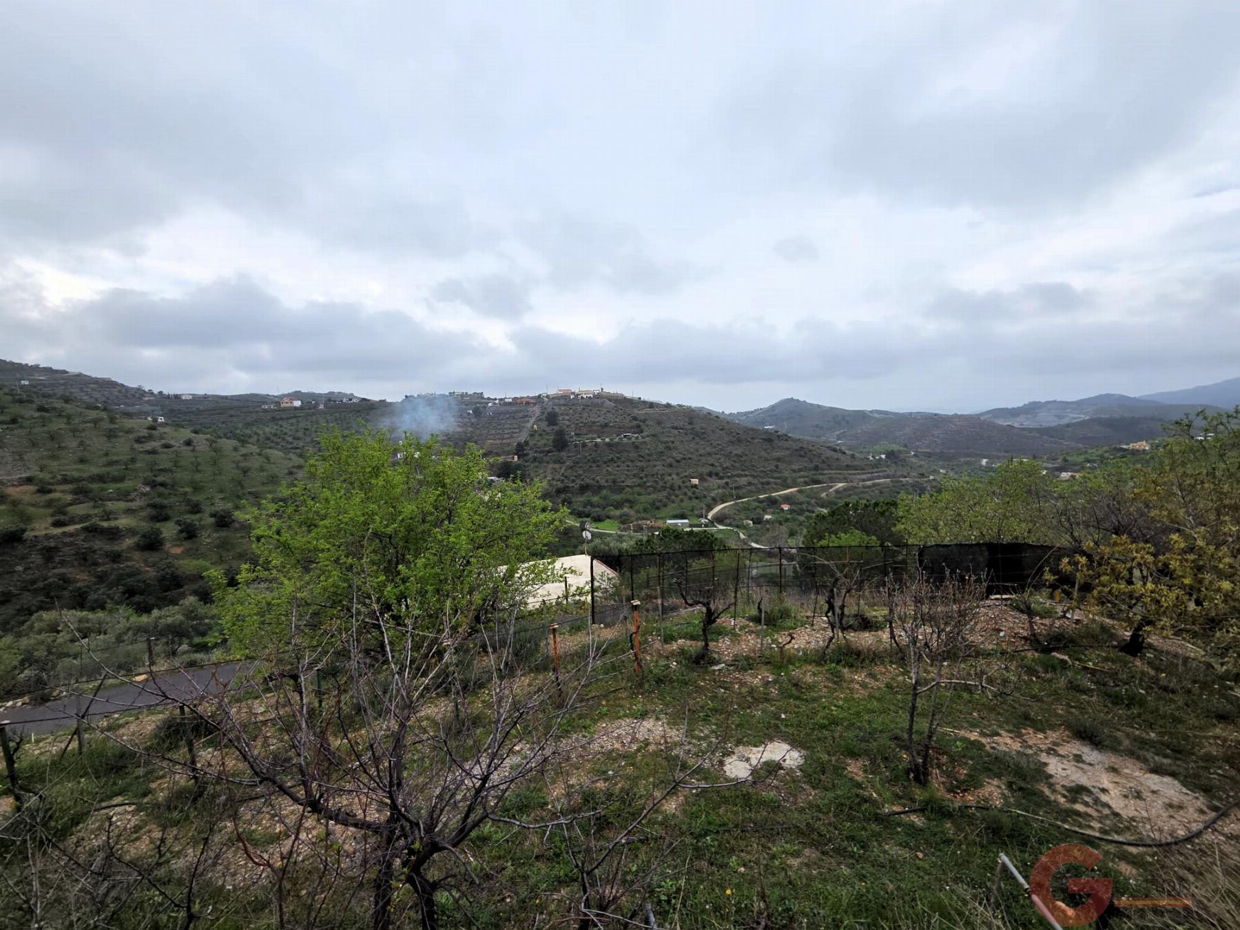 Venta de finca rústica en Vélez de Benaudalla