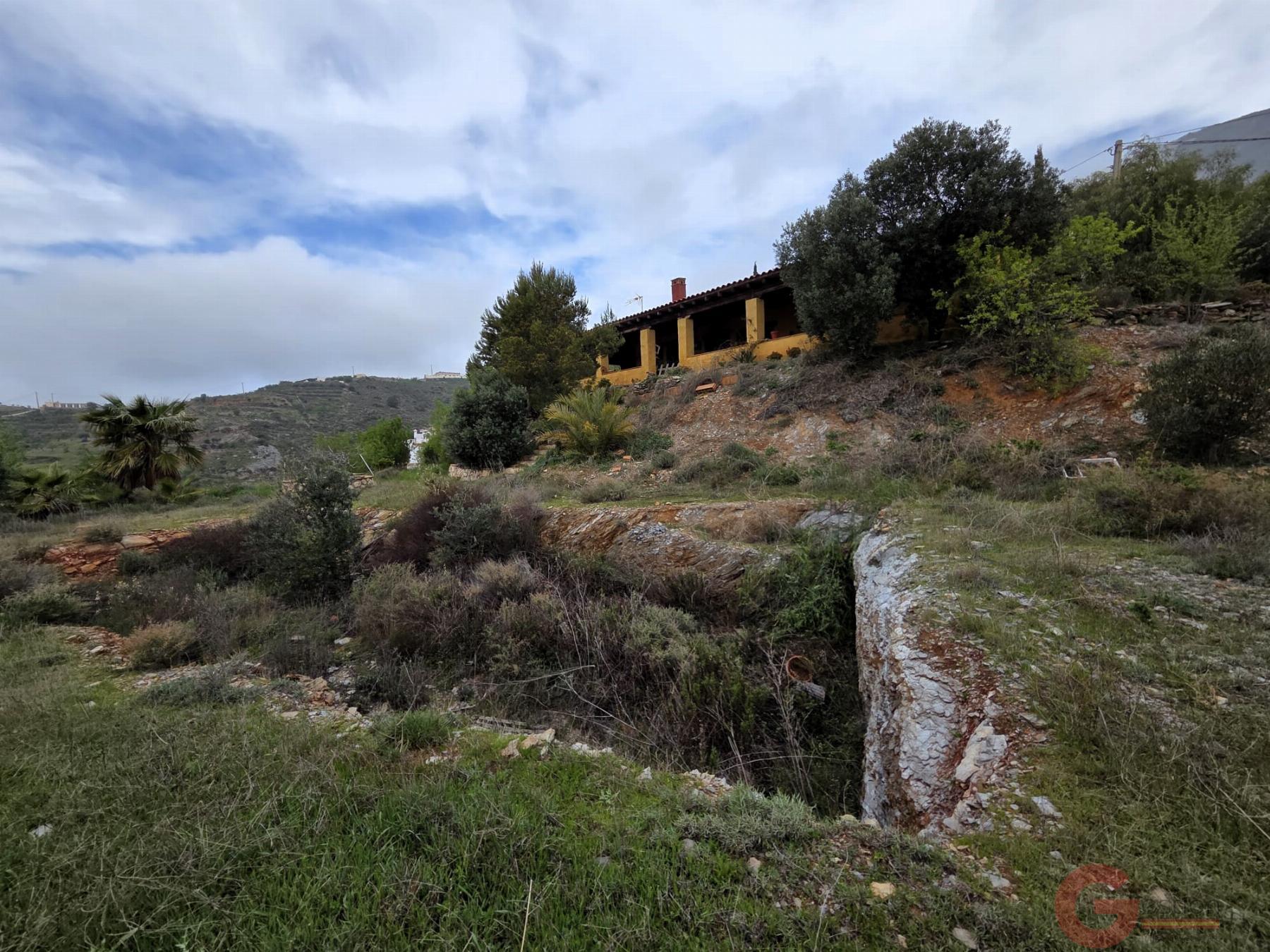 Venta de finca rústica en Vélez de Benaudalla