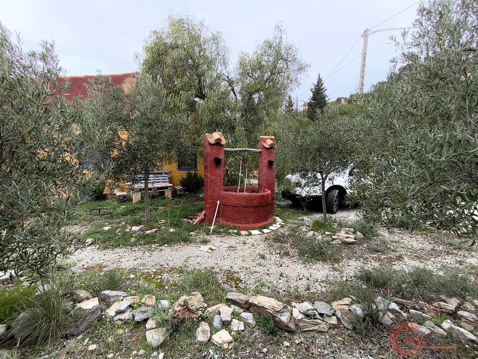 Venta de finca rústica en Vélez de Benaudalla