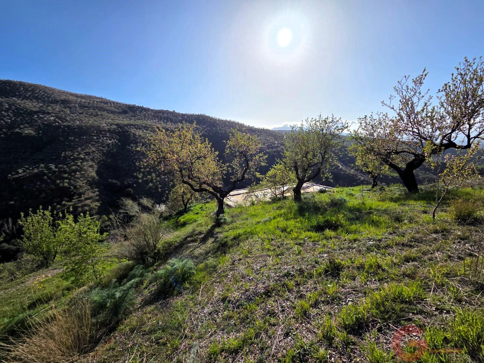 Venta de finca rústica en Torvizcón