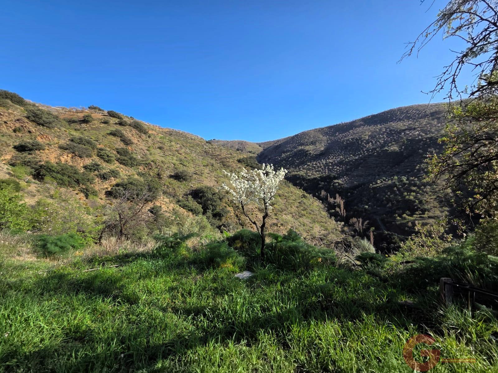 Venta de finca rústica en Torvizcón