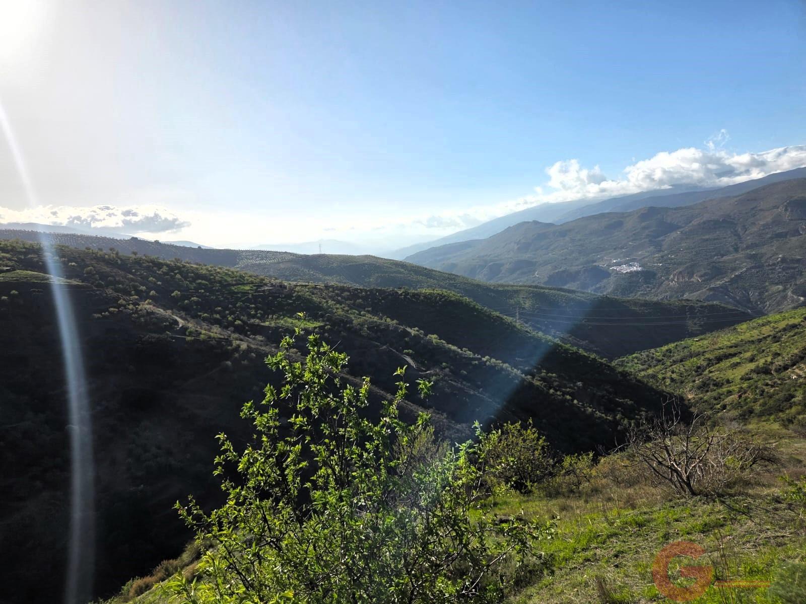 Venta de finca rústica en Torvizcón