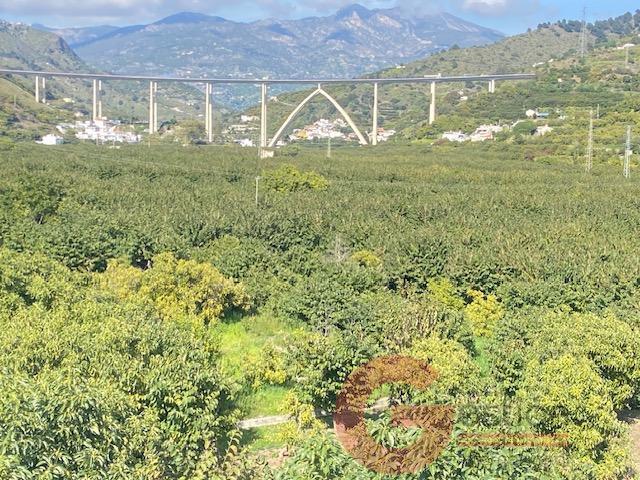 Venta de piso en Almuñécar