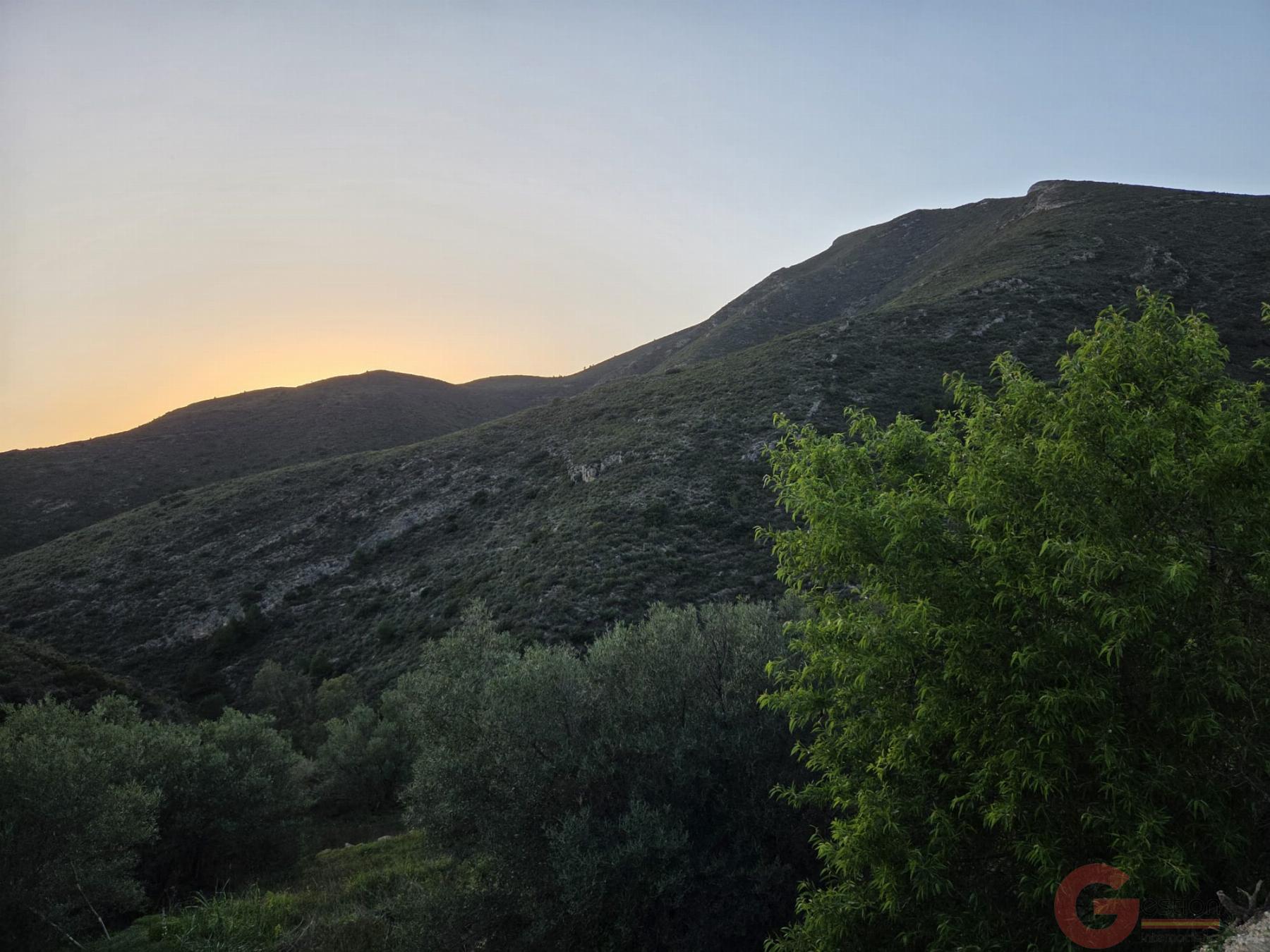 Venta de finca rústica en Itrabo