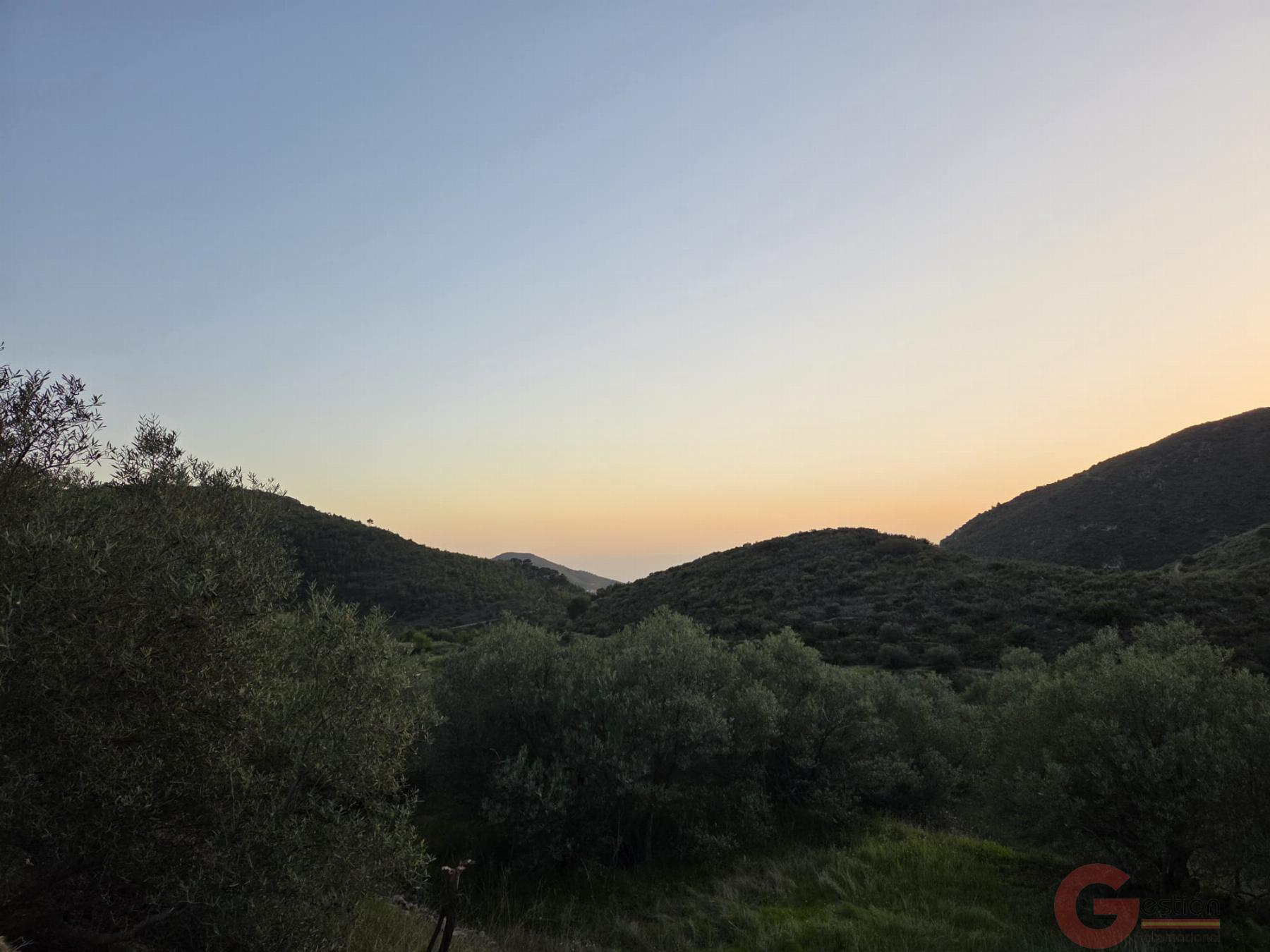 Venta de finca rústica en Itrabo