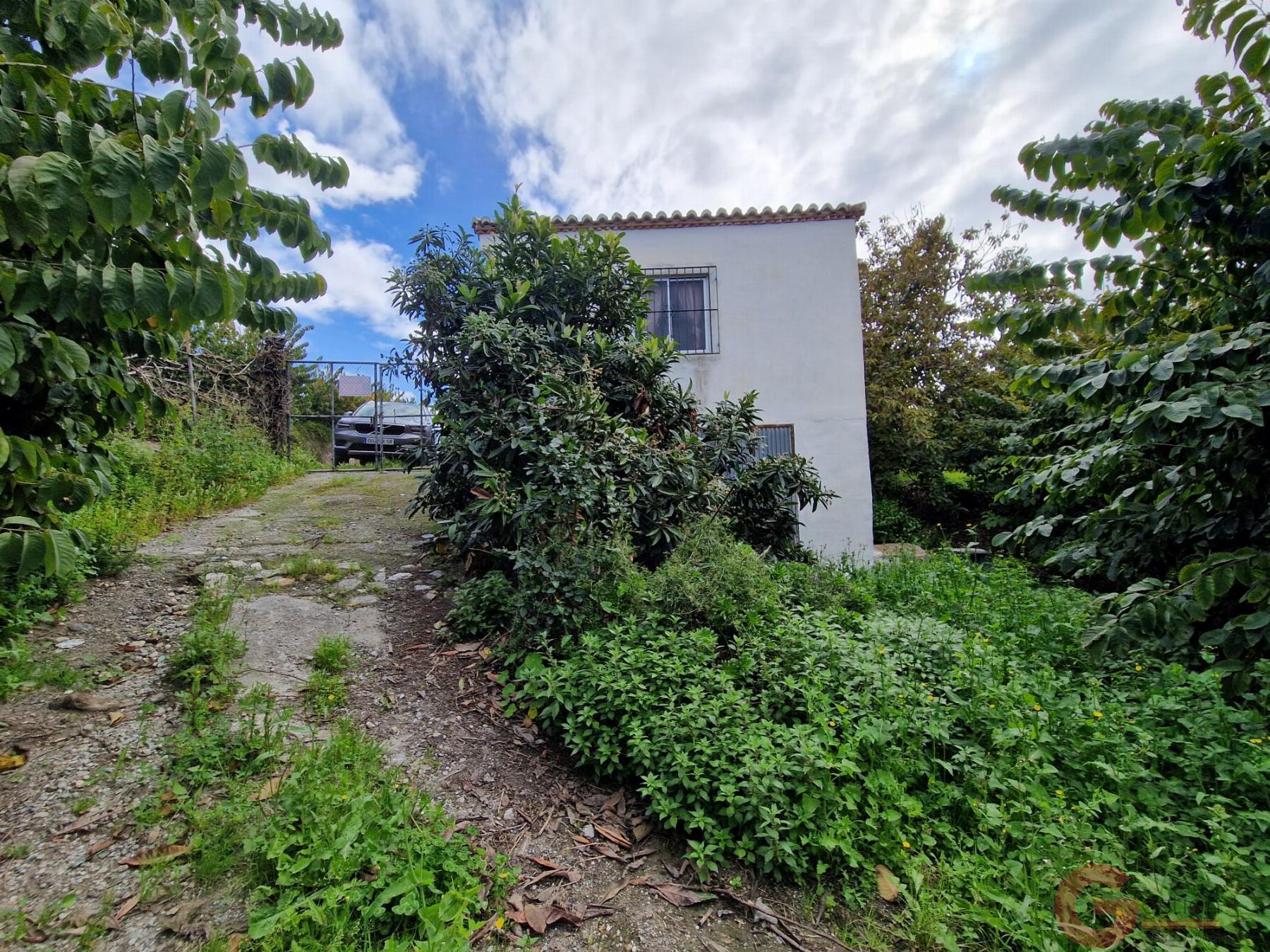 Venta de finca rústica en Salobreña