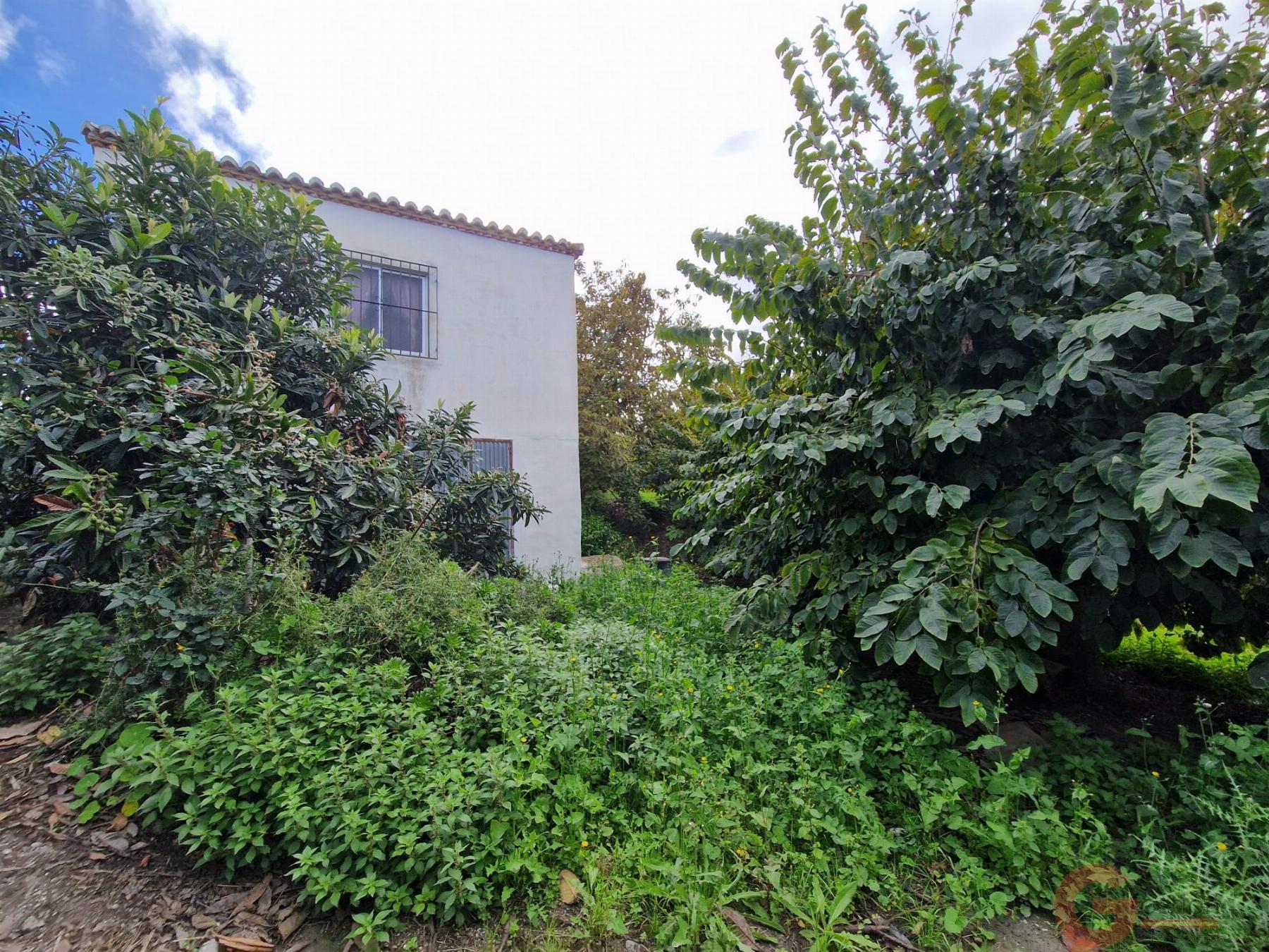 Venta de finca rústica en Salobreña