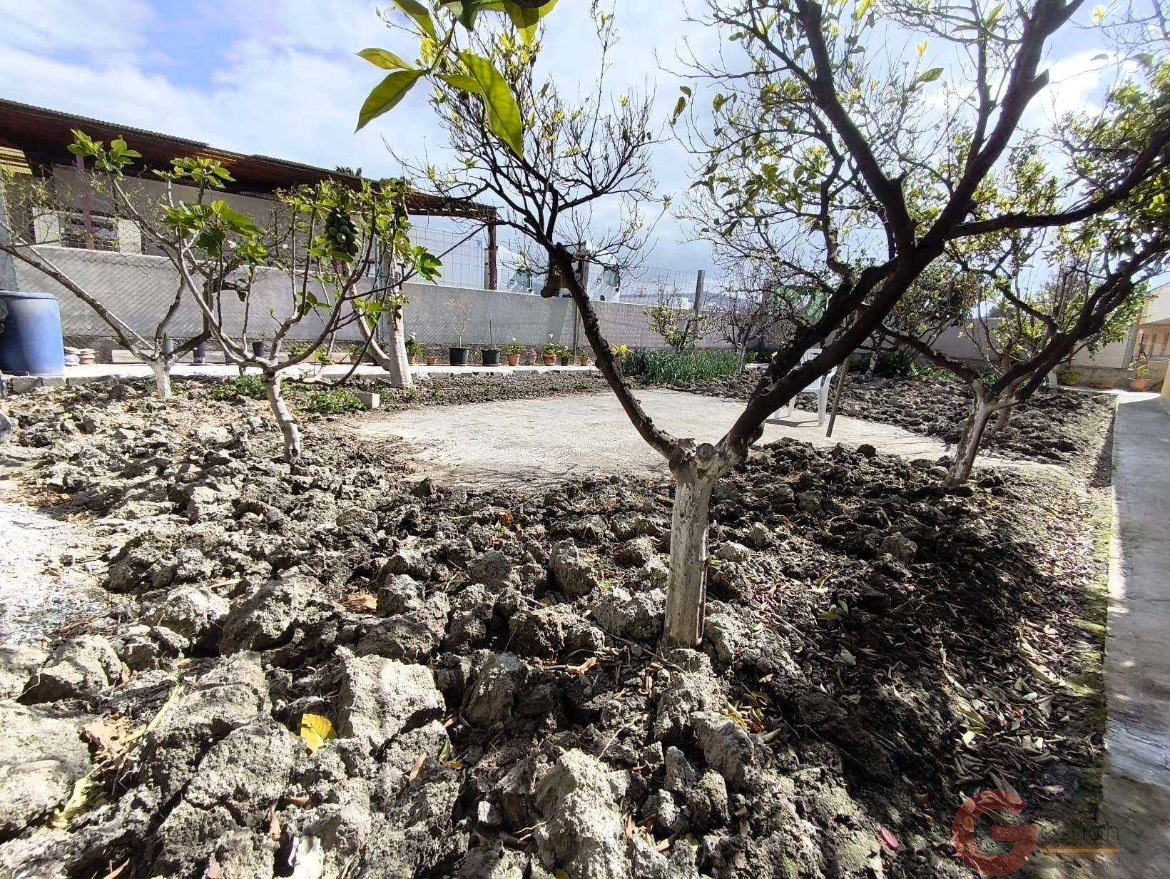 Venta de finca rústica en Motril