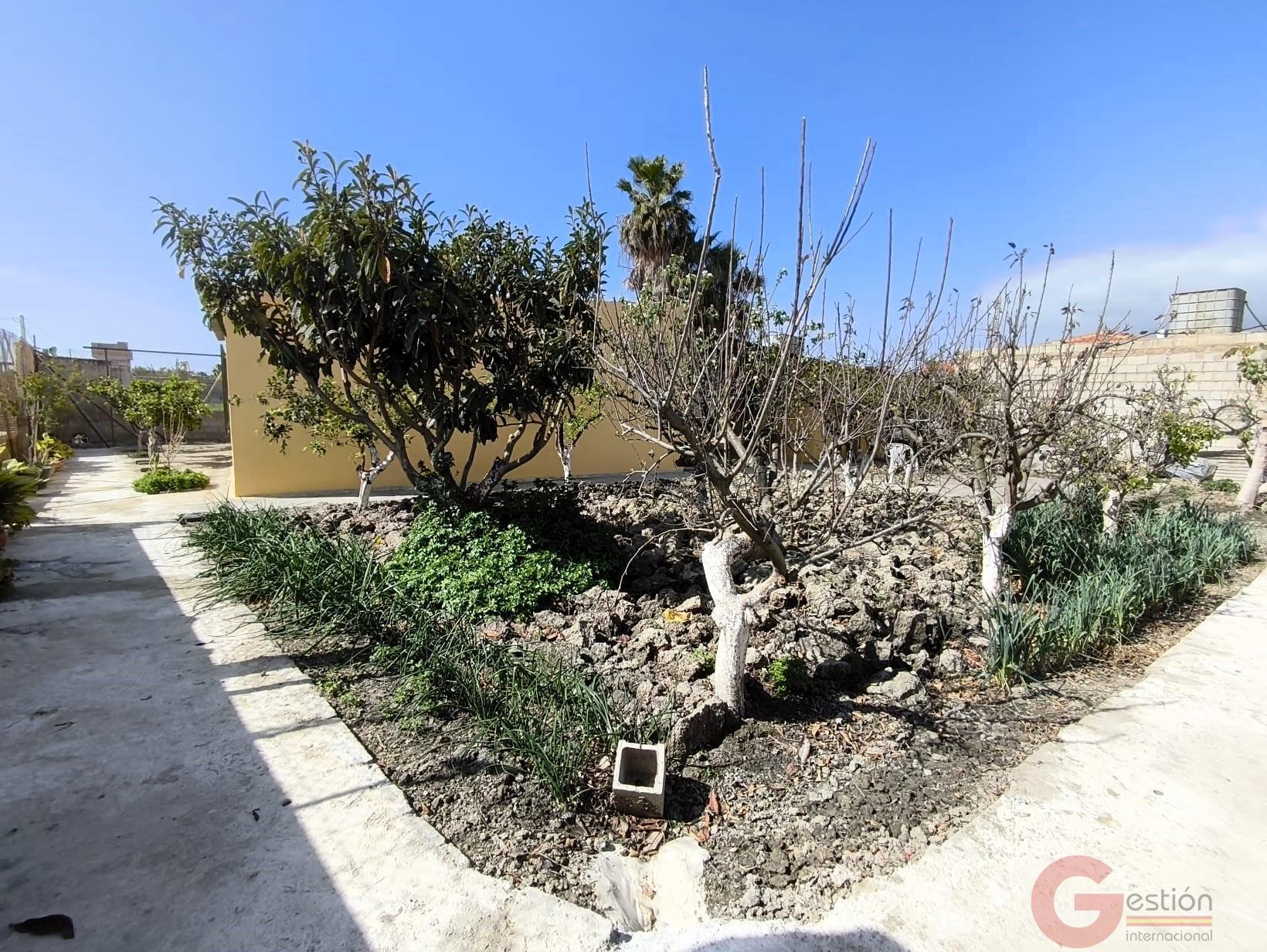 Venta de finca rústica en Motril