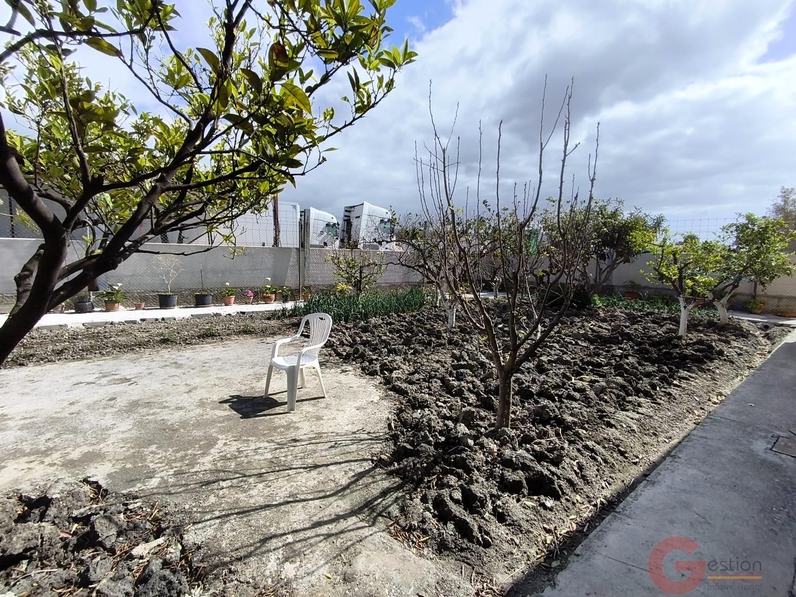 Venta de finca rústica en Motril