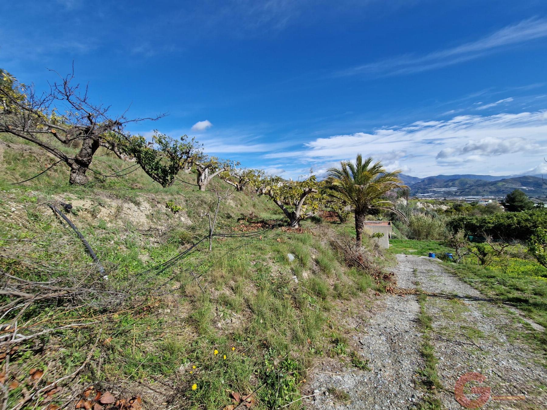 Venta de finca rústica en Salobreña