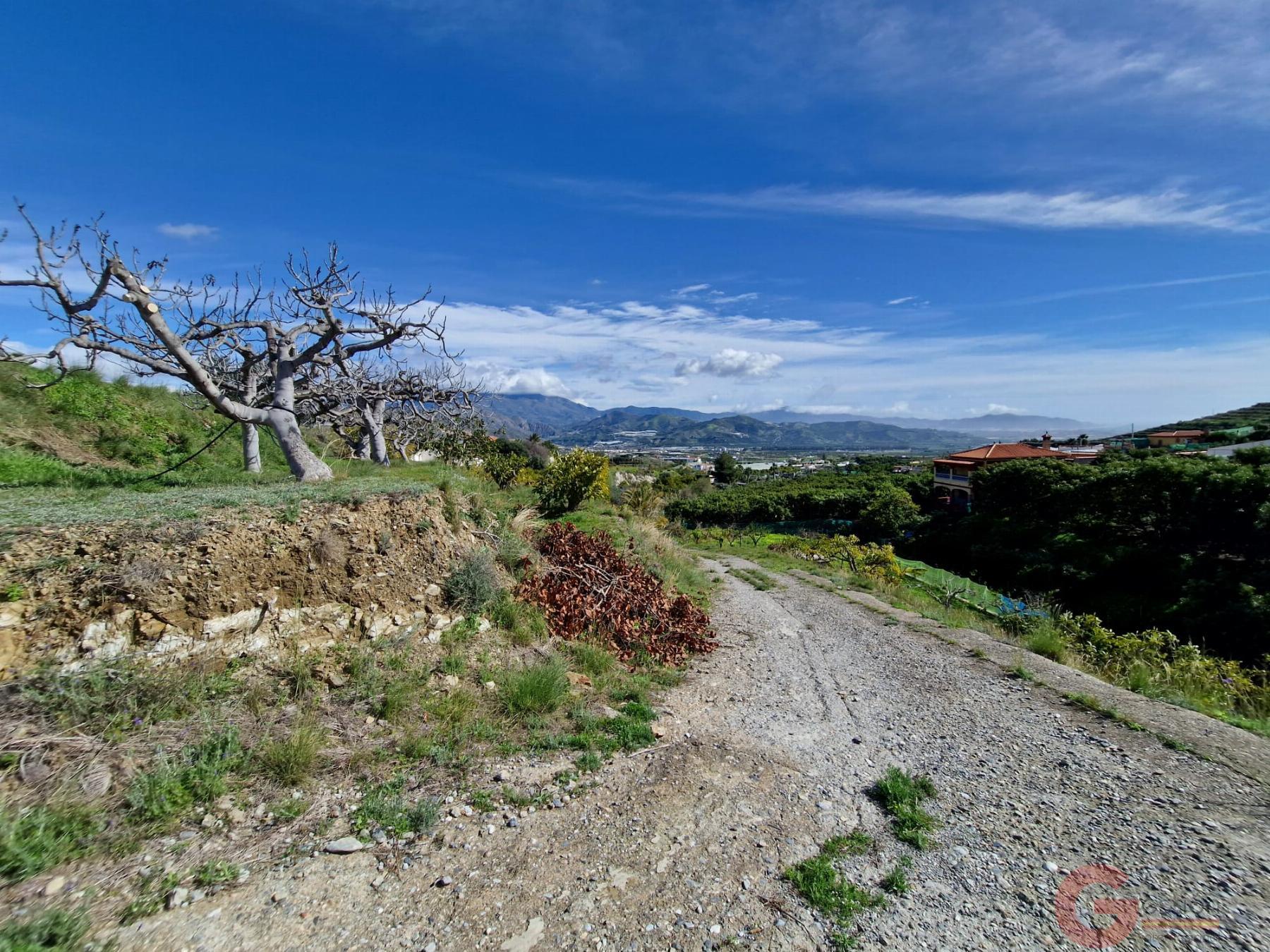 Venta de finca rústica en Salobreña