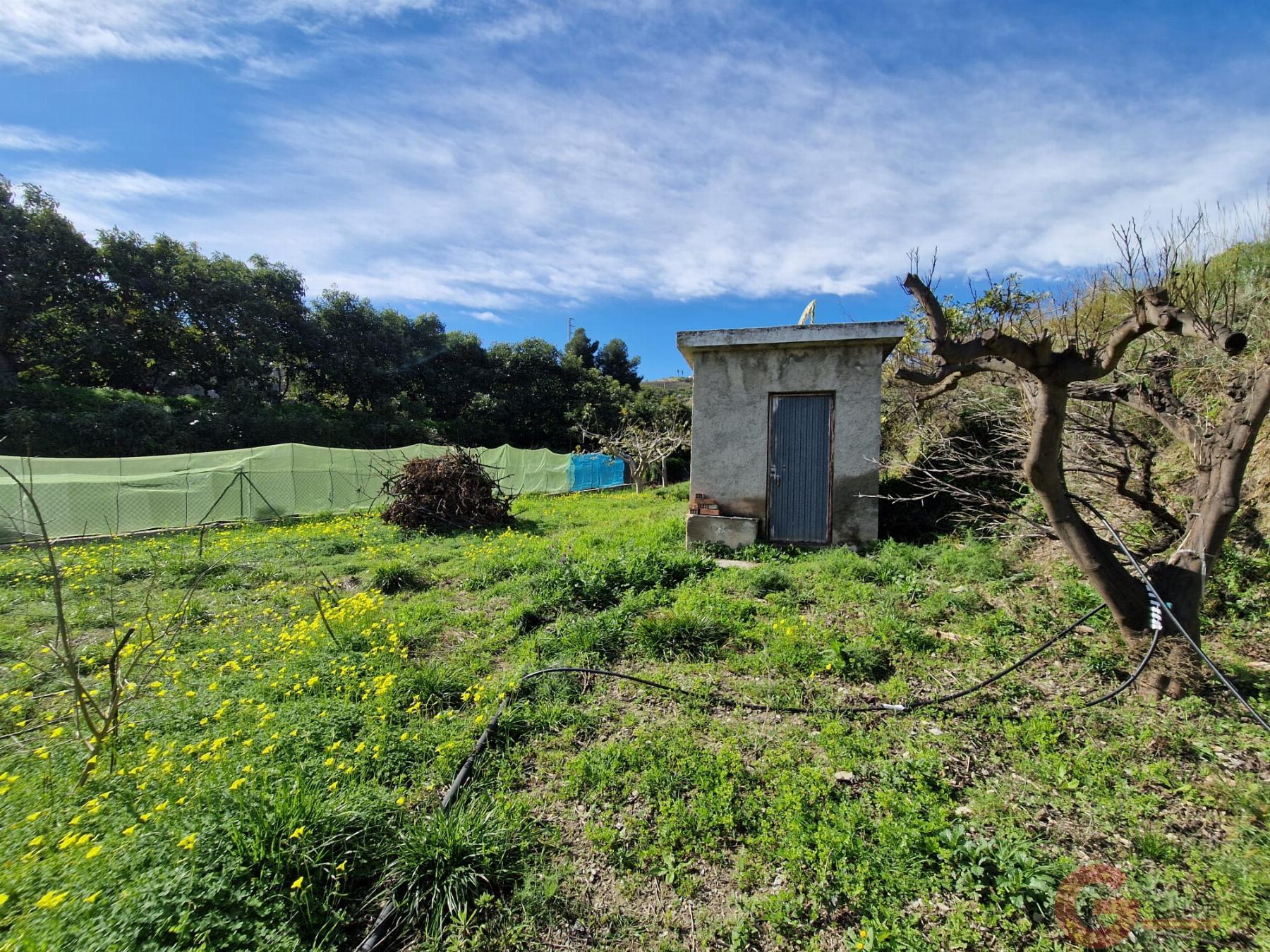 Venta de finca rústica en Salobreña