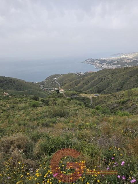 Venta de finca rústica en Salobreña