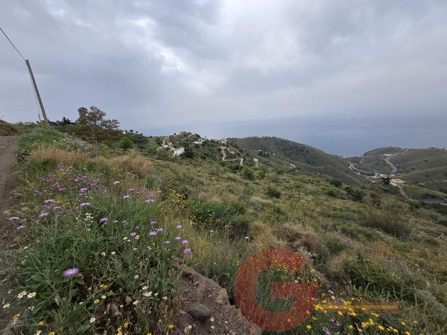 Venta de finca rústica en Salobreña