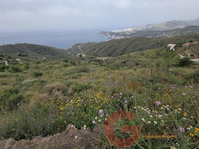 Venta de finca rústica en Salobreña