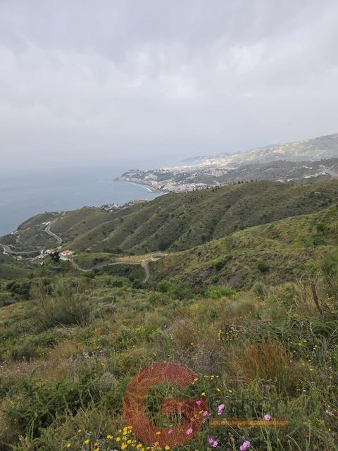 Venta de finca rústica en Salobreña