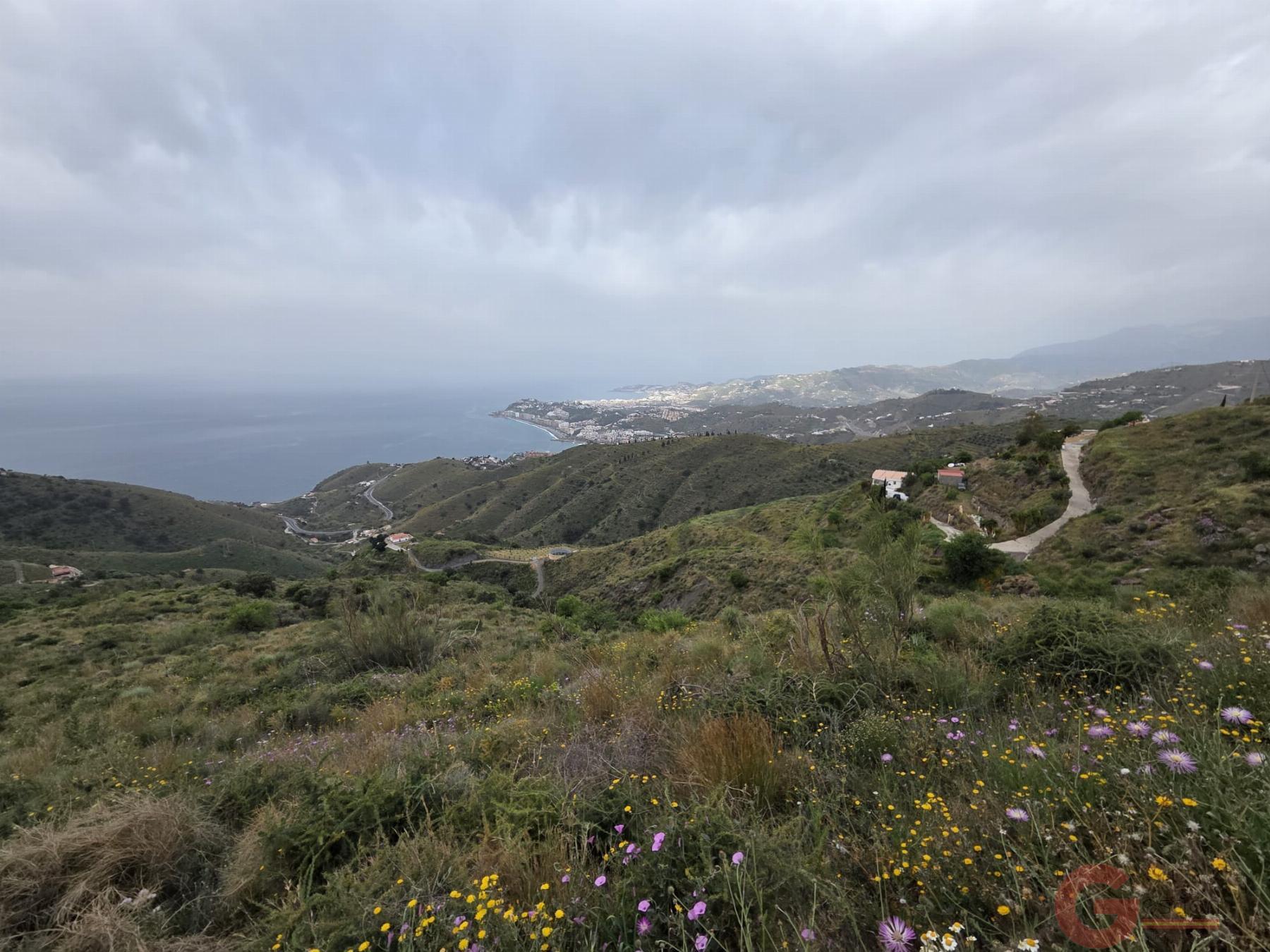 Venta de finca rústica en Salobreña