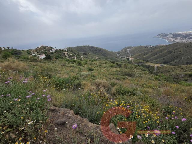 Venta de finca rústica en Salobreña