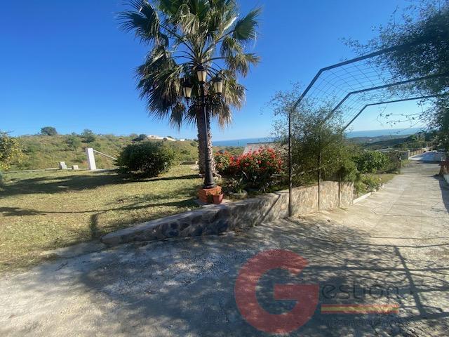 Venta de finca rústica en Vélez-Málaga Municipio