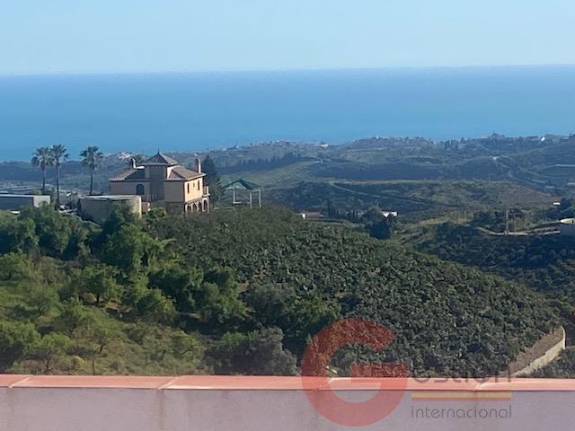 Venta de finca rústica en Vélez-Málaga Municipio