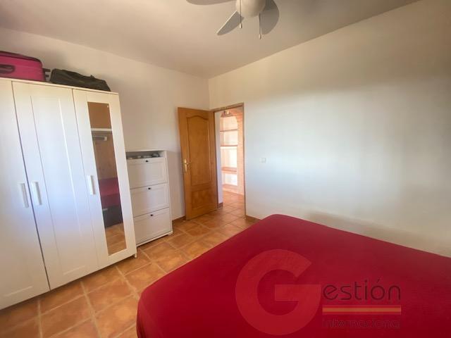 Venta de finca rústica en Vélez-Málaga Municipio