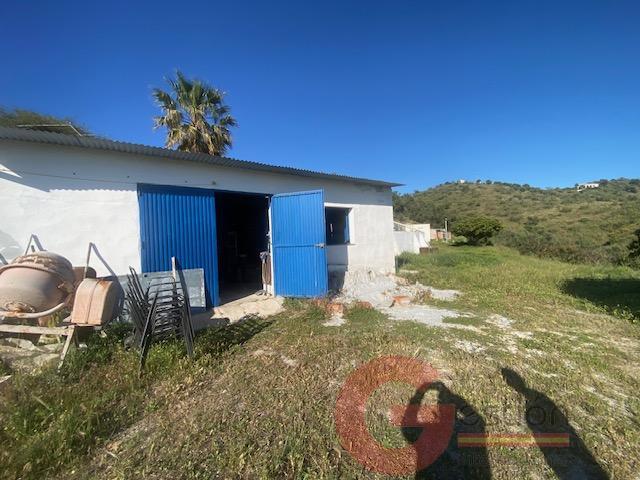 Venta de finca rústica en Vélez-Málaga Municipio