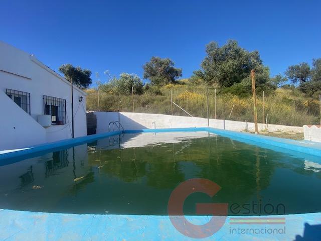 Venta de finca rústica en Vélez-Málaga Municipio