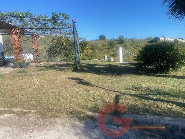 Venta de finca rústica en Vélez-Málaga Municipio